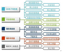 中國農(nóng)業(yè)信息網(wǎng)商務(wù)版運(yùn)營模式探索 構(gòu)建數(shù)字化農(nóng)業(yè)服務(wù)新生態(tài)